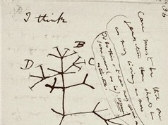 Sổ tay bị đánh cắp của Charles Darwin